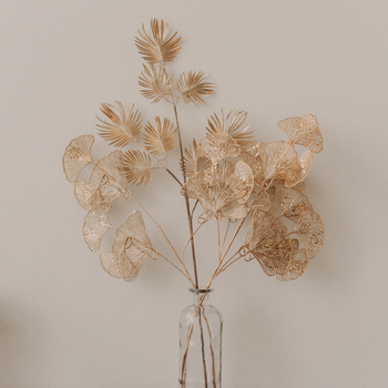 Farmer Jon's Popcorn