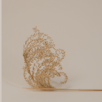 Farmer Jon's Popcorn