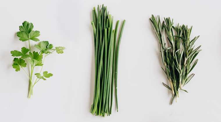 Farmer Jon's Popcorn